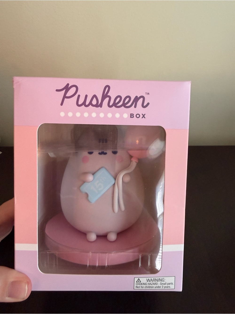 Pusheen 15th Anniversary Vinyl Figure Box